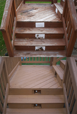 restored steps